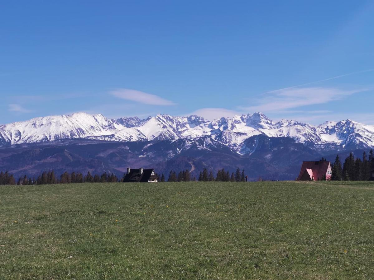 Dom Wczasowy Na Szczycie Zakopane Kültér fotó