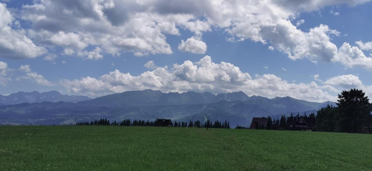 Dom Wczasowy Na Szczycie Zakopane Kültér fotó