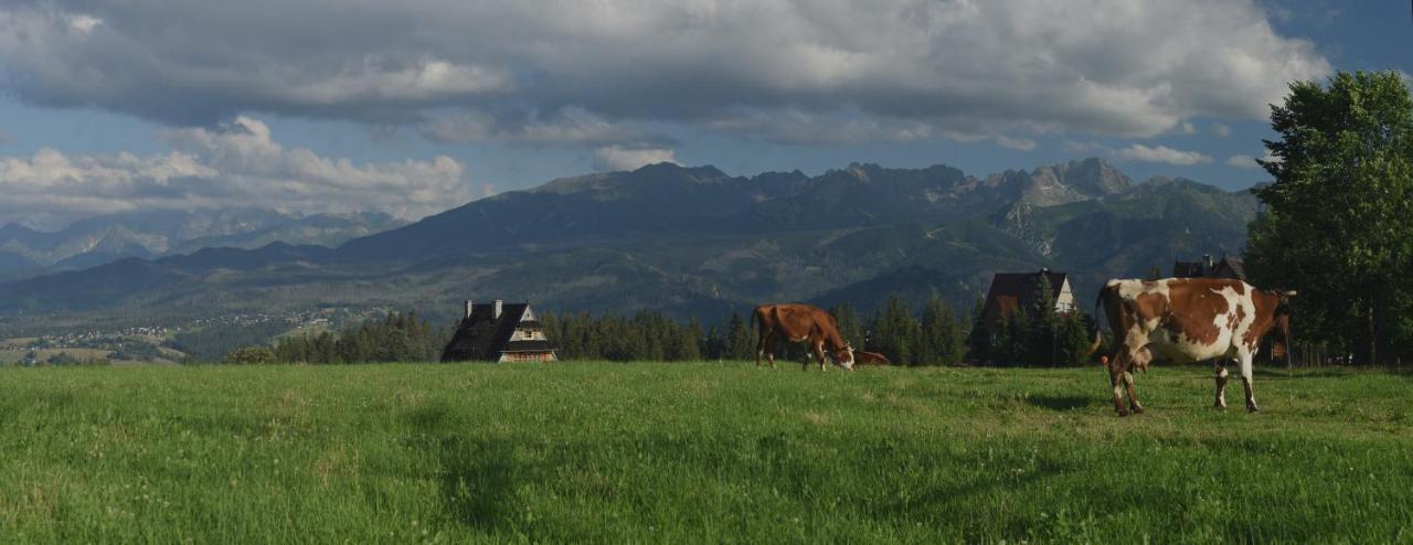 Dom Wczasowy Na Szczycie Zakopane Kültér fotó